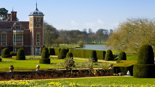 The parterre garden in spring with daffodils flowering, Blickling, Norfolk